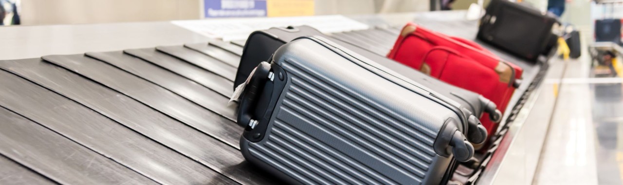 Wings baggage aviation
