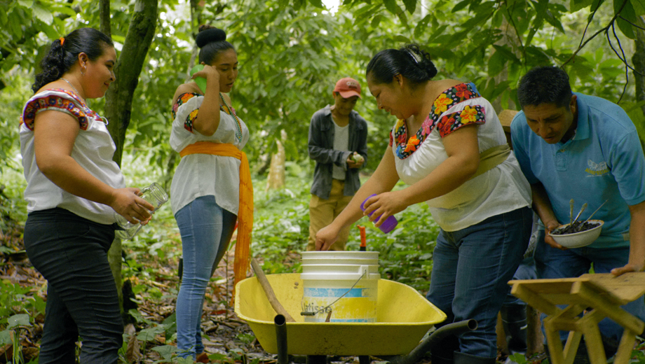 A Portrait of a Supply Chain - envisioning a new era of supply chain transparency